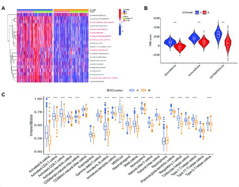 A Gene Set Variation Analysis Gsva Between Two Different Subtypes