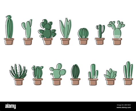 Cactus Line Drawing Pattern Vector Illustration Design Stock Vector