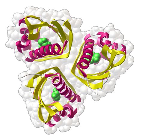 Pdb 101 Learn Structural Biology Highlights New Ntf2 Like Domains