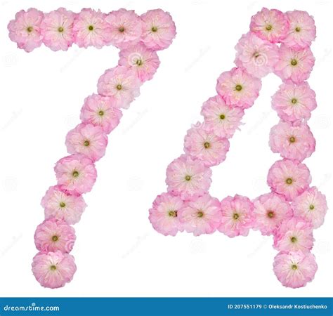 Numeral Setenta Y Cuatro De Flores Rosadas Naturales De Almendro