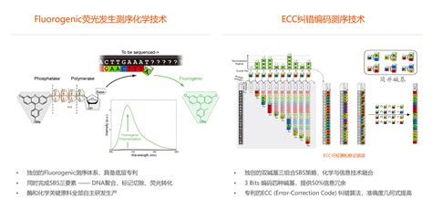 Ngs平台「赛纳生物」获数亿元c 轮融资，研发专利可控的测序仪 36氪首发 36氪