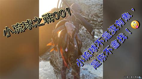 【海野人 Spearfishing 】小琉球漁獵 001 自由潛水 漁獵 打魚 小琉球 Youtube