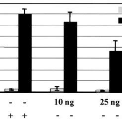 Dek Represses Tnf Induced Nf B Activity In A Concentrationdependent