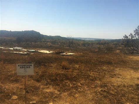 Comunidad De Foros De Apicultura Incendio Lo Que Podr A Haber Sido