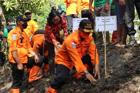 Lawan Pemanasan Global Basarnas Gelar Penanaman Mangrove Di Hutan