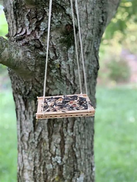 How To Make A Popsicle Stick Bird Feeder Craft