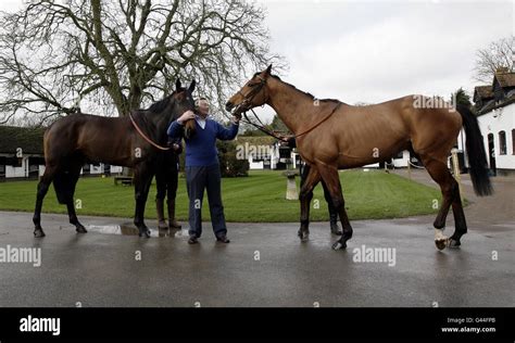 Horse Racing - Nicky Henderson Stable Visit - Seven Barrows Stock Photo ...