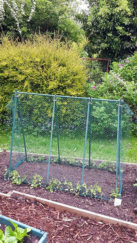 Gardenskill Pea Frame Support Kit 1m High X 125m Long Uk