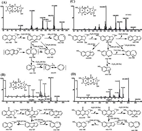 Uplc Esi Qtof Ms Spectra Of Vas A Vasicinol B Vao C And