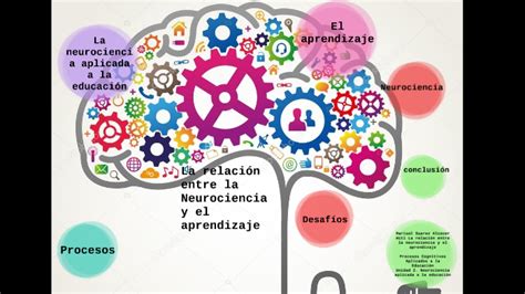 La Relación Entre La Neurociencia Y El Aprendizaje By Marisol Suarez On Prezi