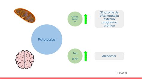 Acetilación y metilación modificaciones postraduccionales PPT