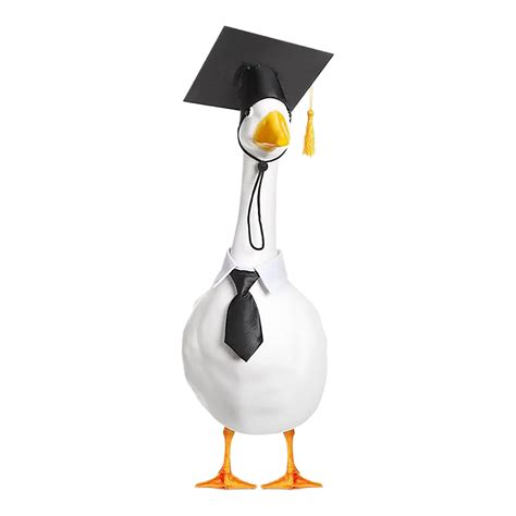 Graduation Porch Goose Outfits for Plastic and Cement Goose Lawn Statue