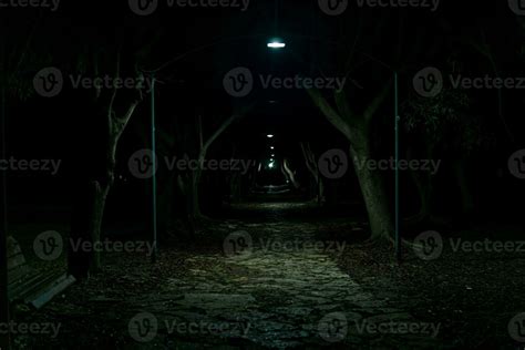 Dark Park Stock Photos, Images and Backgrounds for Free Download