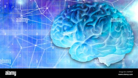 human brain and connections Stock Photo - Alamy