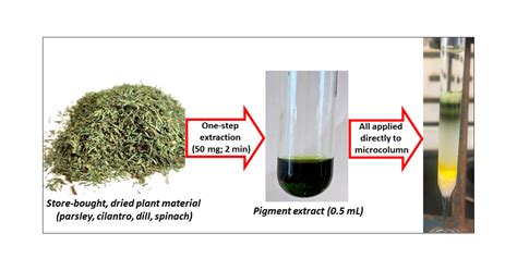 Modified Method For Extraction Of Photosynthetic Plant Pigments For