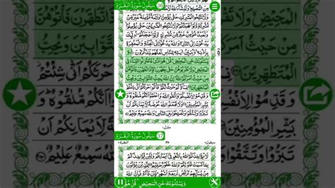 Para 2 Surah Al Baqrah 02 Ayet 220 224 Quran With Urdu Translation Mishary Rashid Youtube