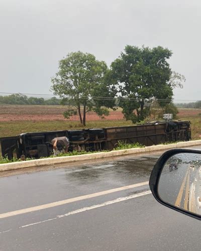 Motorista Dorme Ao Volante E Nibus Clandestino Tomba Na Br Cerca