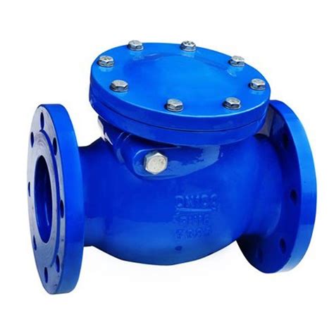 Great Quality Pn1016 Double Din Cast Iron Flanged Swing Check Valve Supplier Metal Swing Check