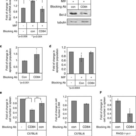 Cd84 Expression Is Elevated In Cll Cells In A Mifcd74 Dependent