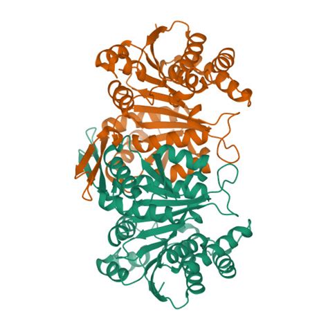 RCSB PDB 1W0D The High Resolution Structure Of Mycobacterium