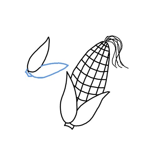 How To Draw Corn Crobs Step By Step Easy Drawing Guides Drawing Howtos