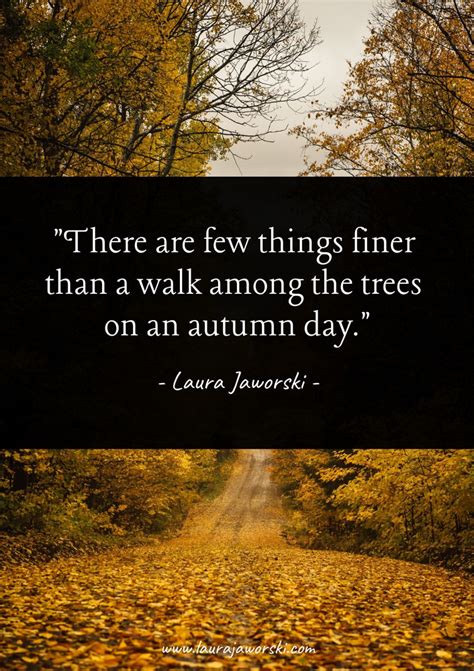 60 autumn quotes fall quotes and captions to enchant and deepen the ...