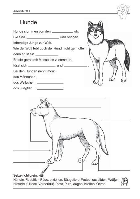 Hersteller Lose Villa arbeitsblatt hund klasse 5 Qualität Offen Begleiter