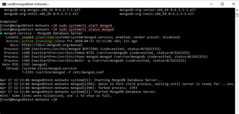 How To Start Mongodb Server Selllasopa