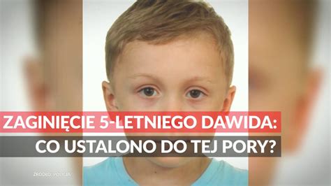 Zagini Cie Letniego Dawida Co Ustalono Do Tej Pory Youtube