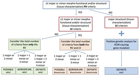 New Diagnostic Approach To Arrhythmogenic Cardiomyopathy The Padua