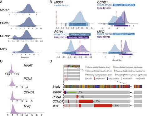 Ki Regulates Global Gene Expression And Promotes Sequential Stages