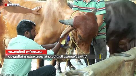 കോട്ടയം കടുത്തുരുത്തിയിൽ പ്രസവത്തെ തുടർന്ന് മരണത്തിന്റെ വക്കിലെത്തിയ