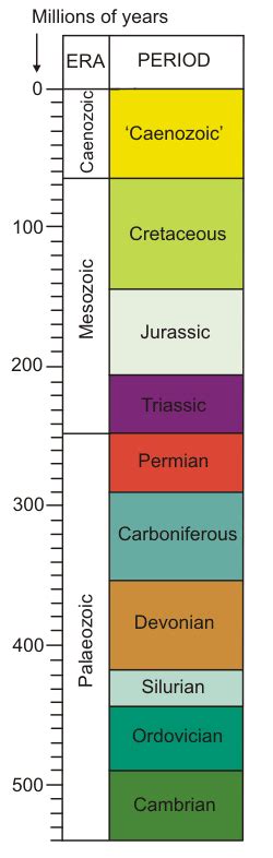 The Learning Zone The History Of Life