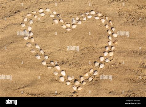 Seashell Heart On The Beach Stock Photo Alamy