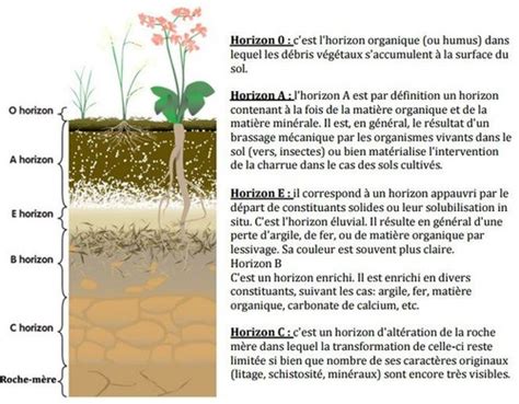 Geo Les Sols Flashcards Quizlet