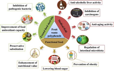 Different applications of fruit waste polyphenols | Download Scientific ...