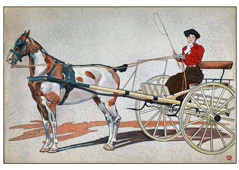 vintage woman pony trap  stock photo public domain pictures
