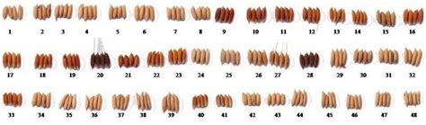 Variability In Grain Colour Size And Shape Of Forty Eight Upland Rice