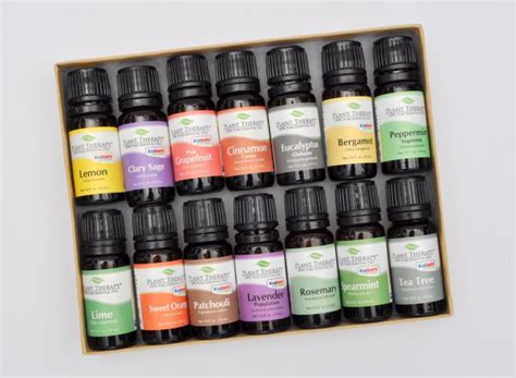 Essential Oils Starter Kit For Beginners | Made In A Day