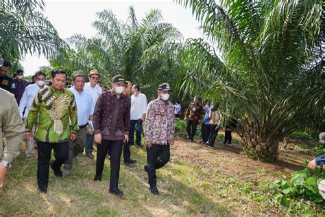 Koperasi Perlu Bangun Pabrik Minyak Makan Merah Kompas Id