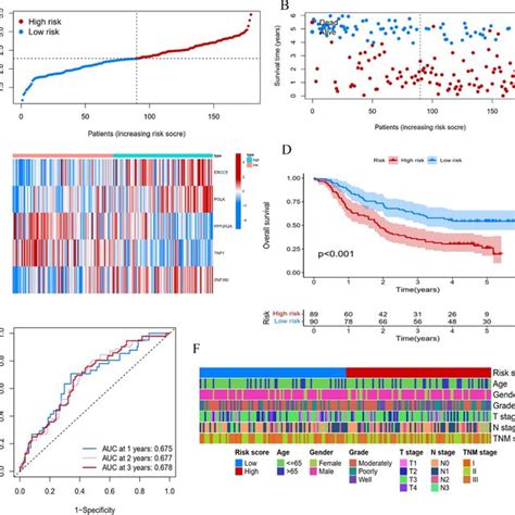 Generation Of A Ddr Related Prognostic Model For Escc In The Validation