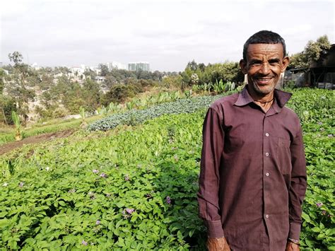 IncrEdible Gardens Addis Ababa