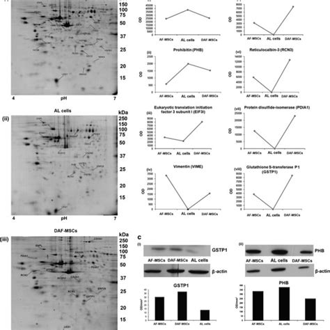 2de Analysis Of Af Mscs Al Cells And Daf Mscs A Representative 2de Download Scientific