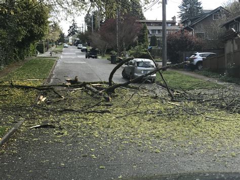 West Seattle Blog Weather Update Wind Advisory Ends Early