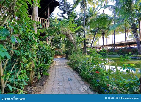 Exotic Garden In Tropic Place Stock Image Image Of India Tropic