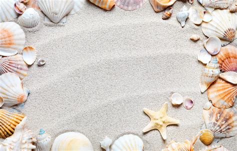 Wallpaper sand, beach, frame, shell, sand, starfish, seashells images ...