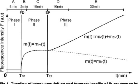 Figure 1 From Modeling Of Microvascular Permeability Changes After