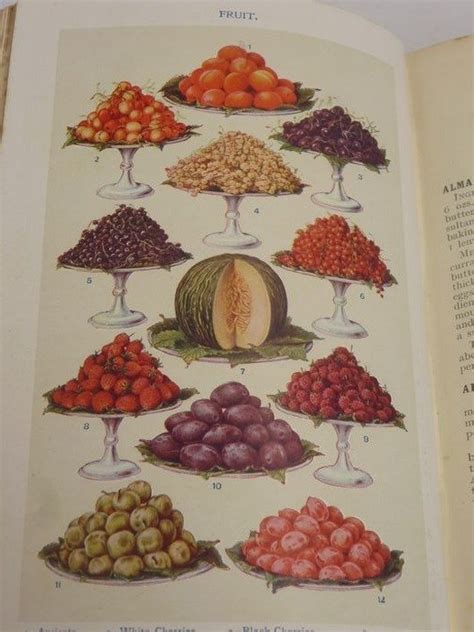 Mrs Beeton Mrs Beetons Every Day Cookery Catawiki