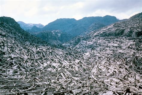 The Eruption Of Mount St Helens In 1980 The Atlantic