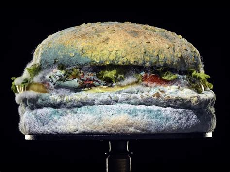 Burger King’s Mouldy Whopper Ad: Another Case Of Nutrition-Washing?